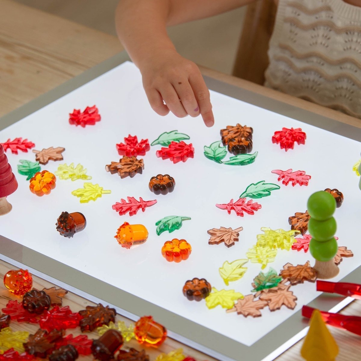Translucent Colour Leaves & Seeds – for children, available at Learning Bugs UK