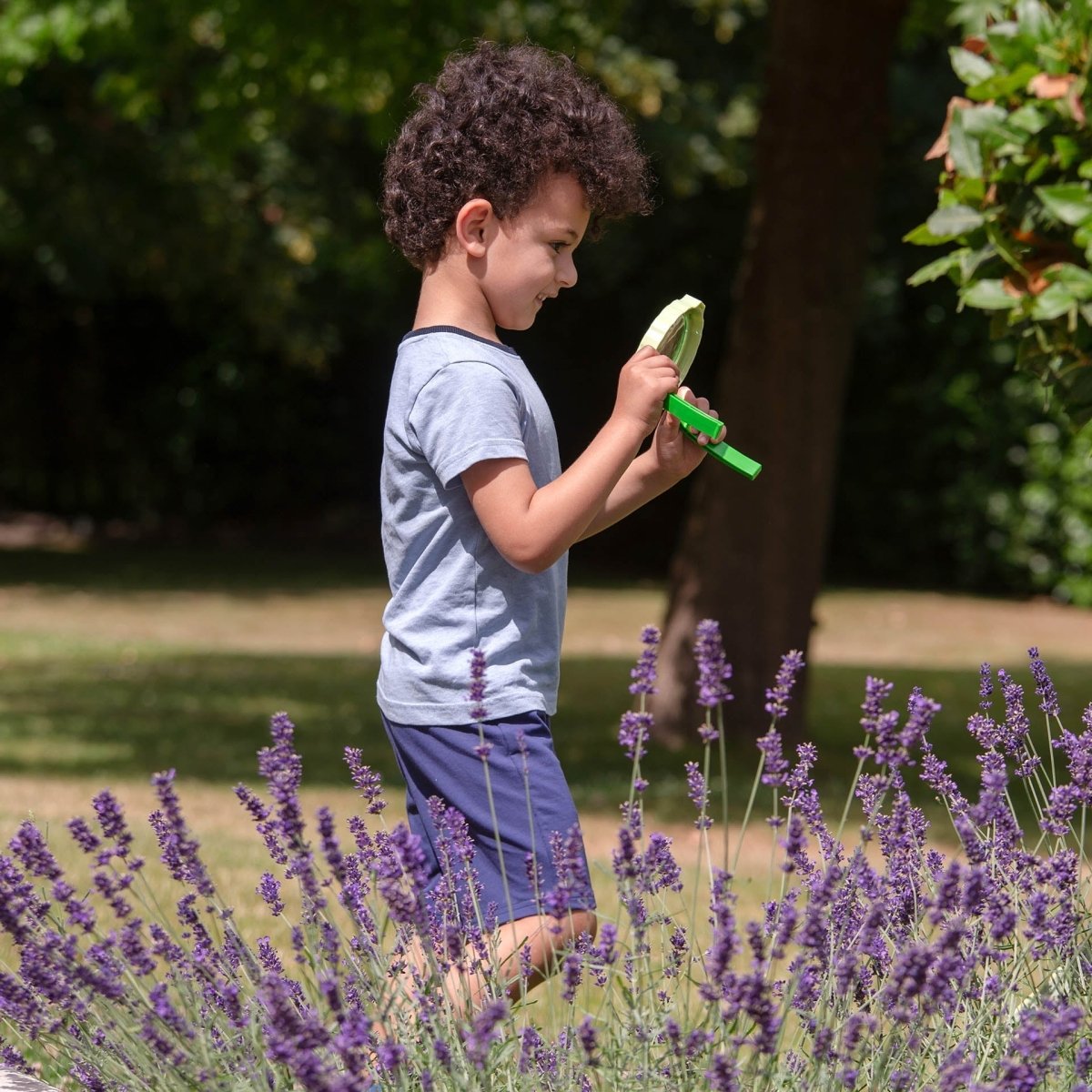 Tabletop Magnifier 2.3X & Pot – for children, available at Learning Bugs UK
