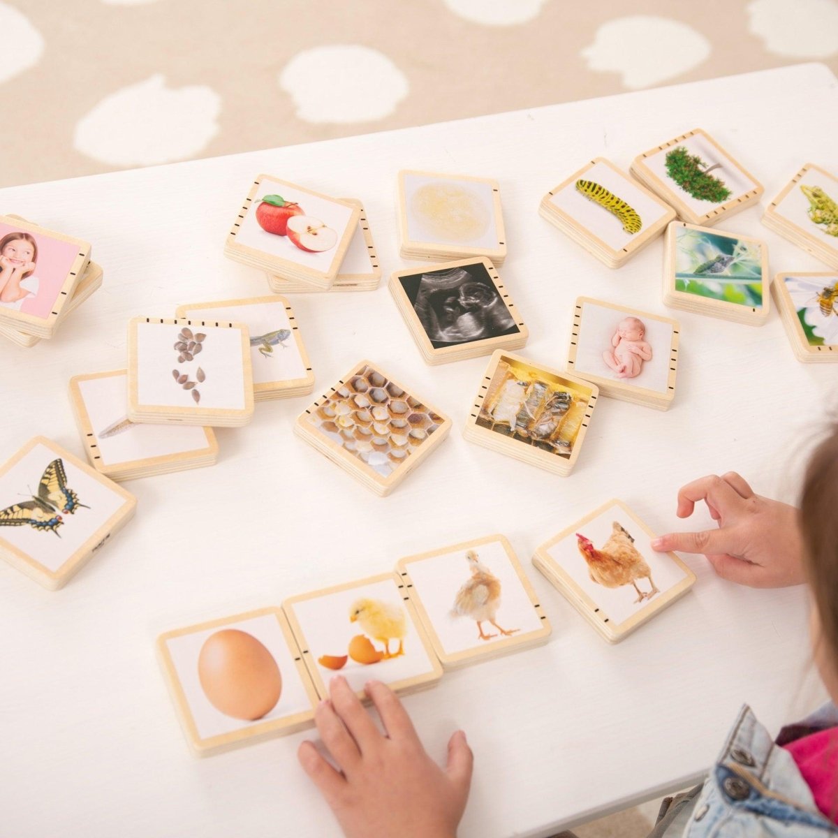 Wooden Lifecycle Tiles – Baby Toys & Activity Equipment for children, available at Learning Bugs UK