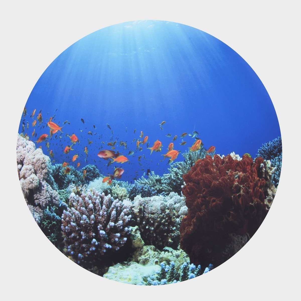 Under The Sea Discovery Play Mat – Baby Toys & Activity Equipment for children, available at Learning Bugs UK