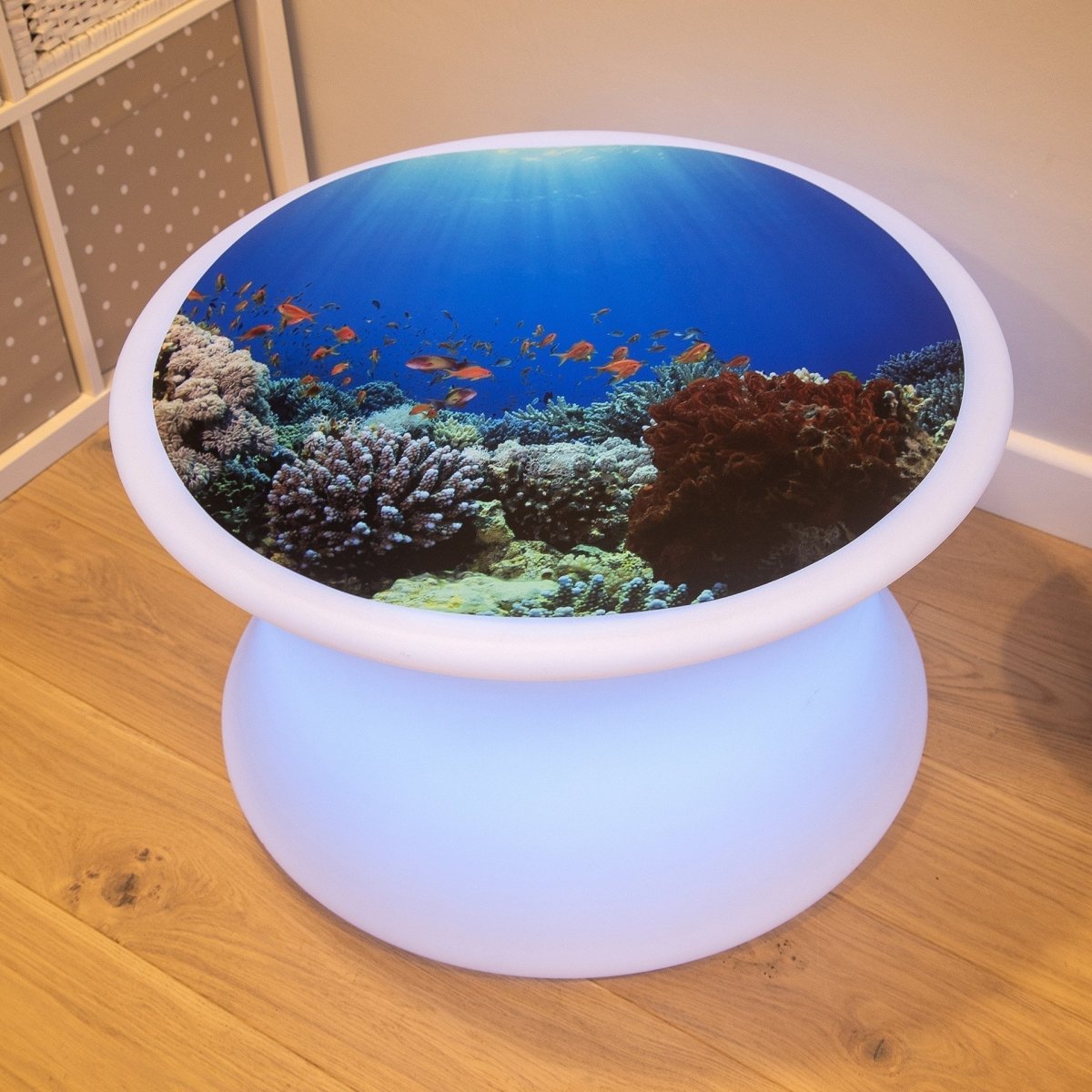 Under The Sea Discovery Play Mat – Baby Toys & Activity Equipment for children, available at Learning Bugs UK