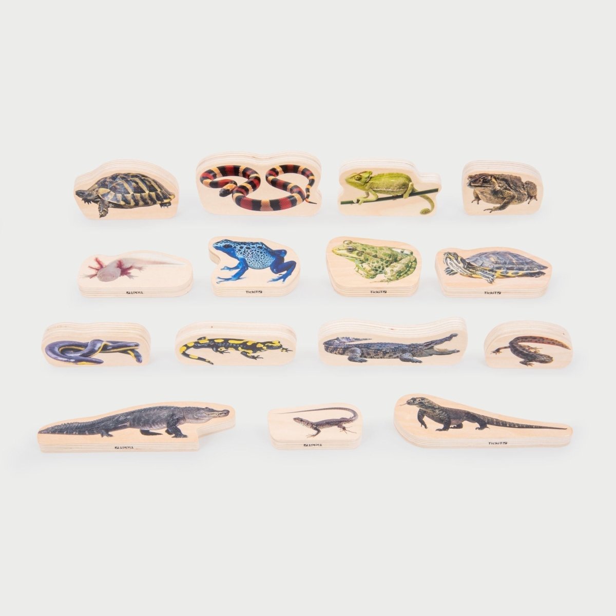 Wooden Reptile & Amphibian Blocks – Baby Toys & Activity Equipment for children, available at Learning Bugs UK