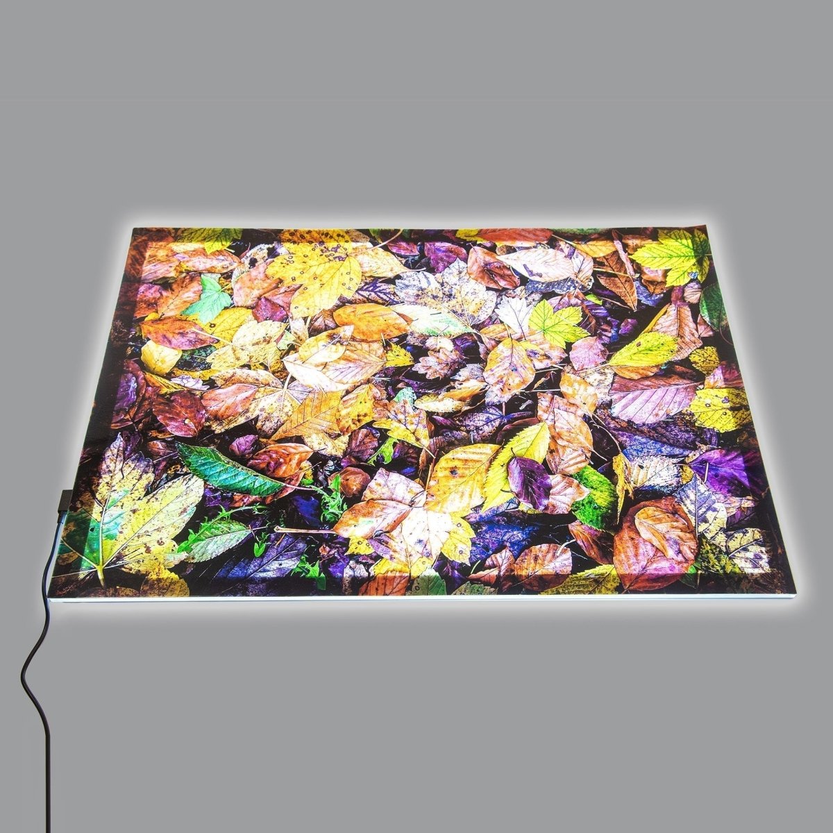 Autumn Leaves A2 Play Mat – Baby Toys & Activity Equipment for children, available at Learning Bugs UK