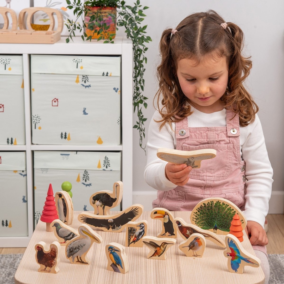 Wooden Bird Blocks – for children, available at Learning Bugs UK