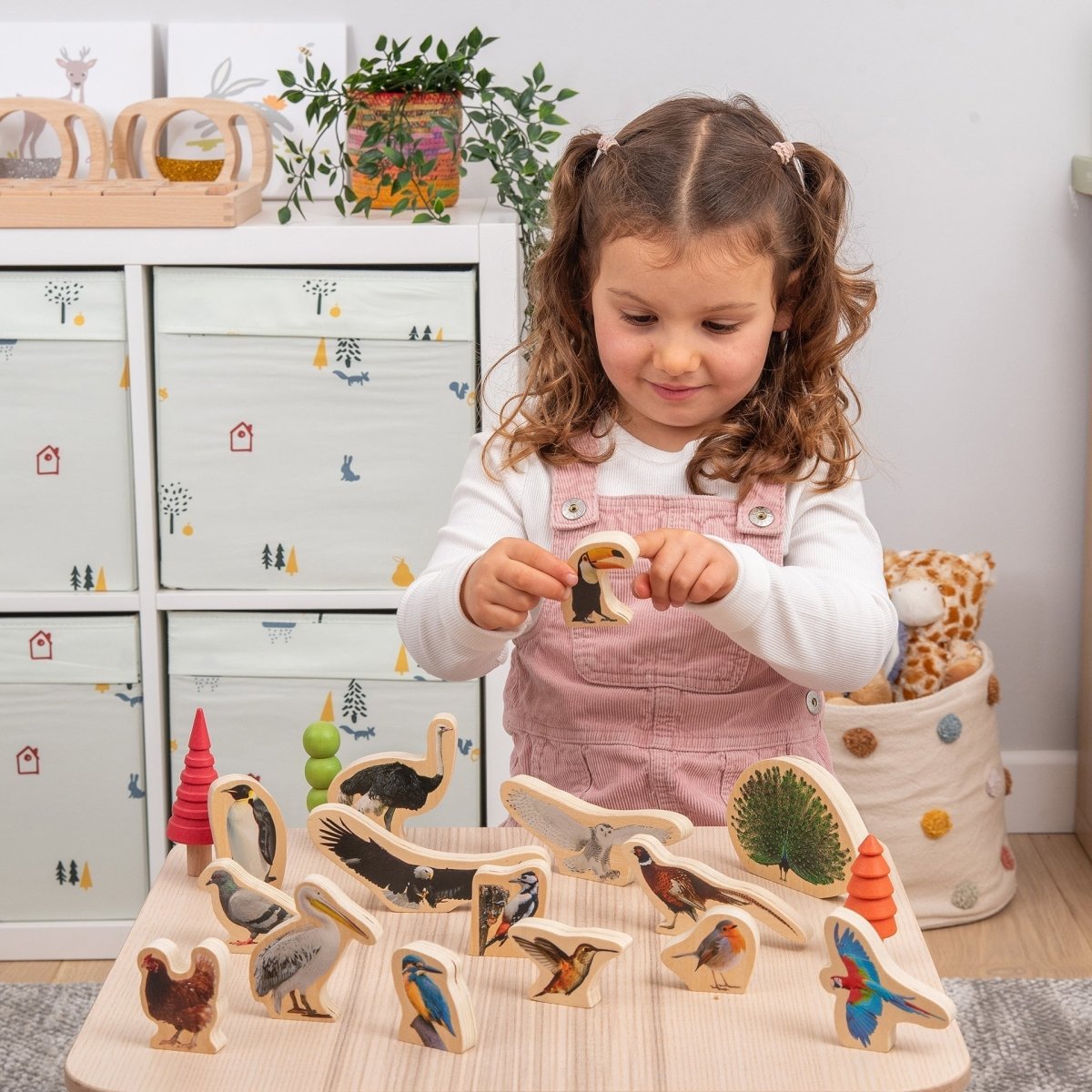 Wooden Bird Blocks – for children, available at Learning Bugs UK
