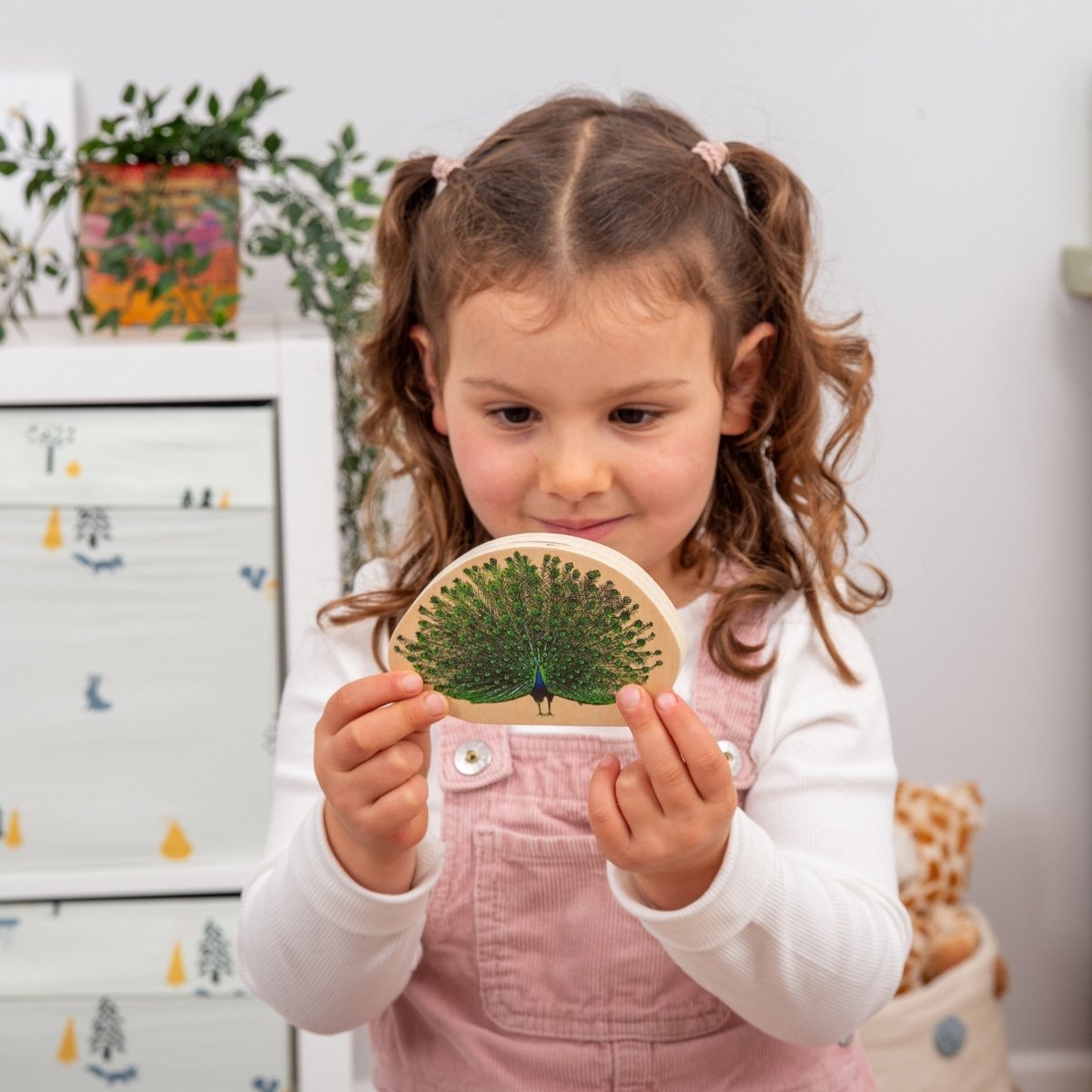 Wooden Bird Blocks – for children, available at Learning Bugs UK