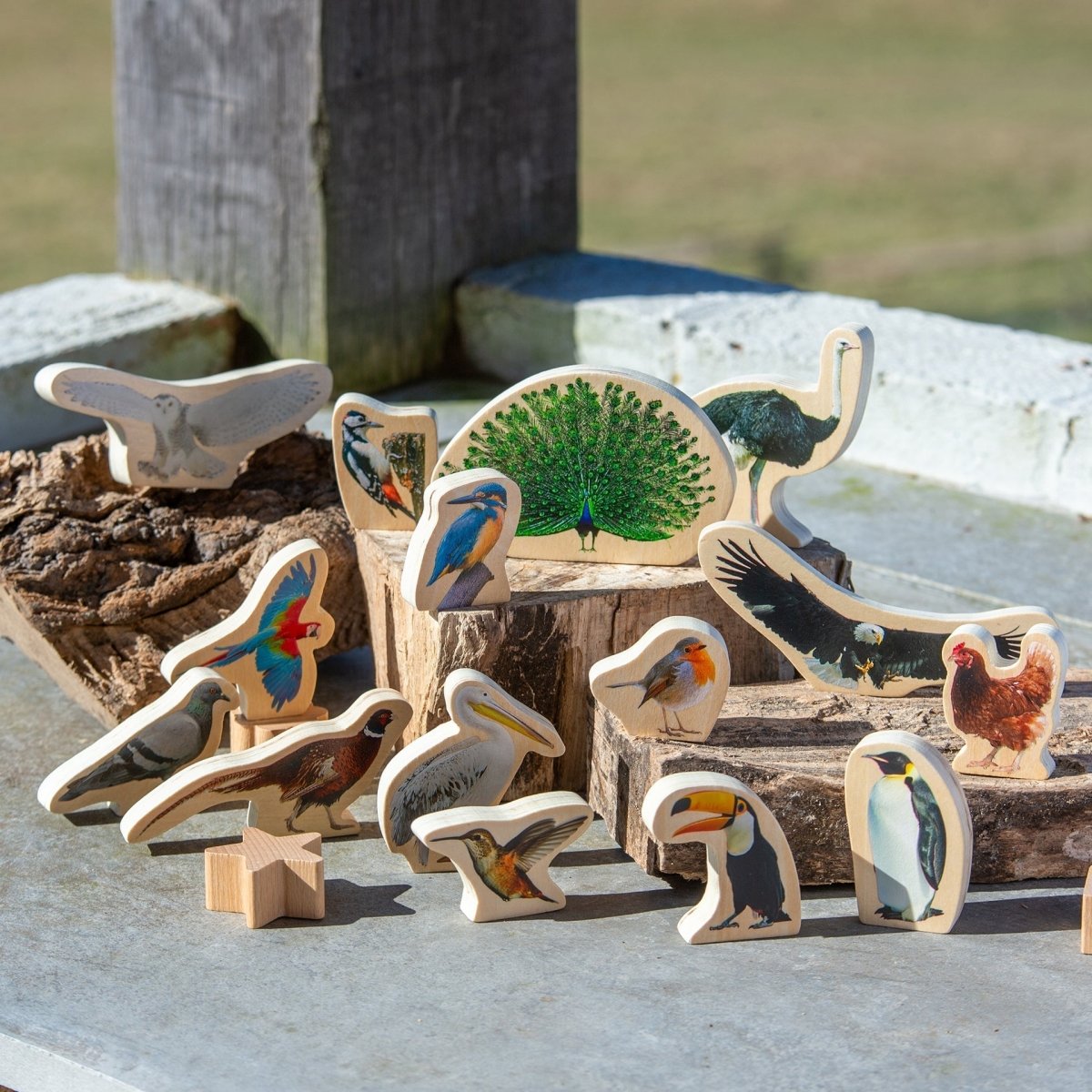 Wooden Bird Blocks – for children, available at Learning Bugs UK