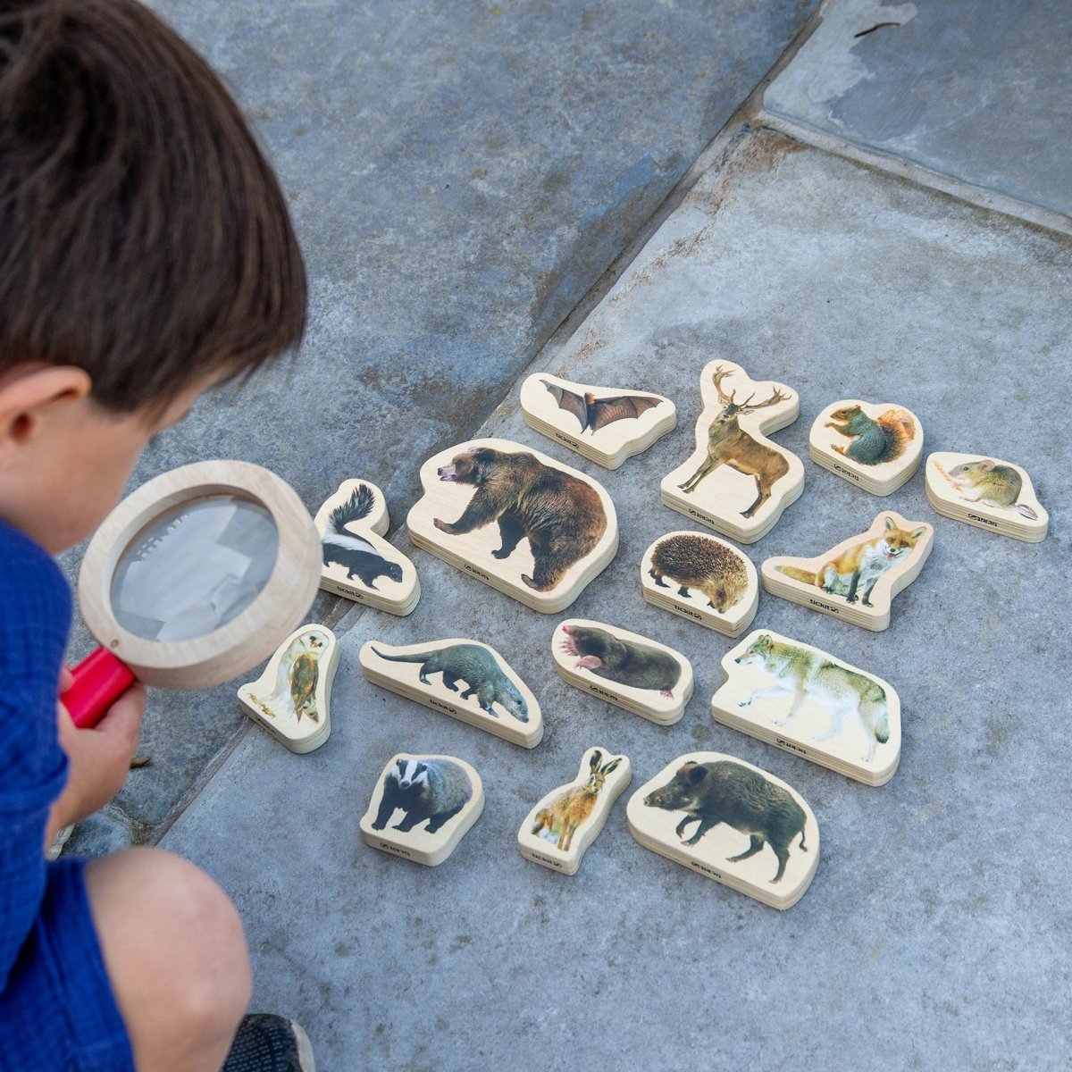 Wooden Forest Animal Blocks – for children, available at Learning Bugs UK