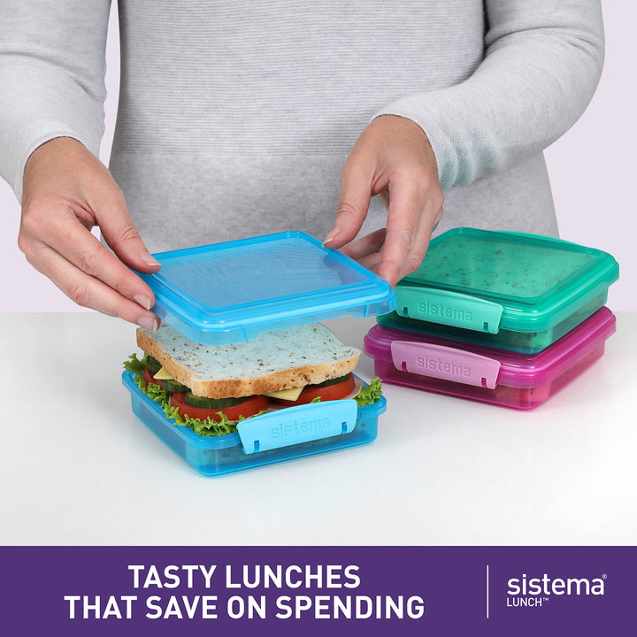 3-Pack Airtight School Lunch Boxes