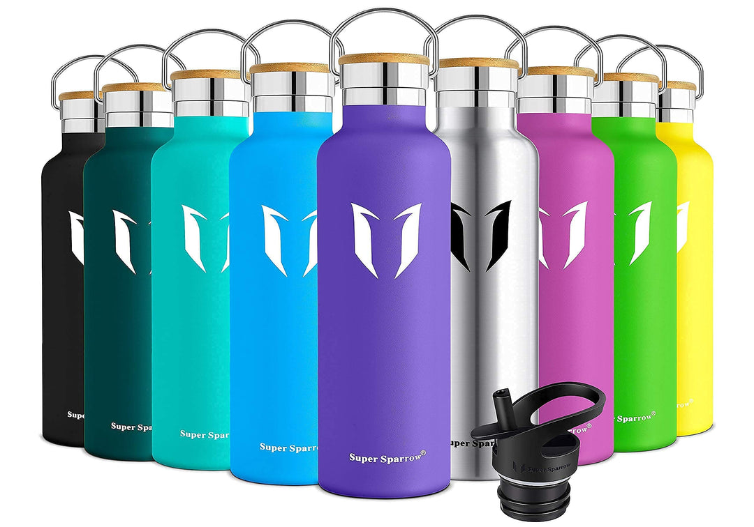 500ml Vacuum Insulated Stainless Steel Water Bottle