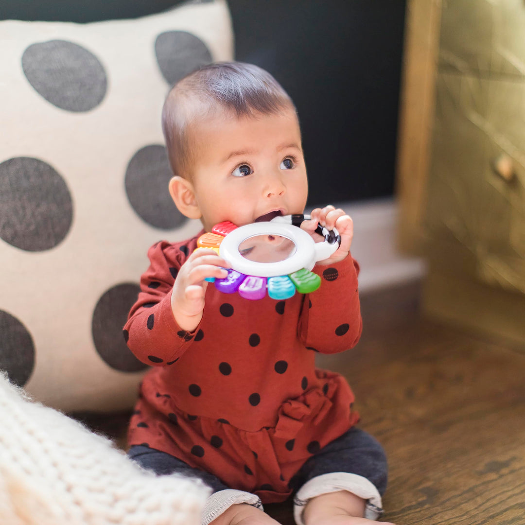 Baby Einstein, Outstanding Opus The Octopus, Sensory Rattle and Teether Multi-Use Toy, BPA Free and Chillable