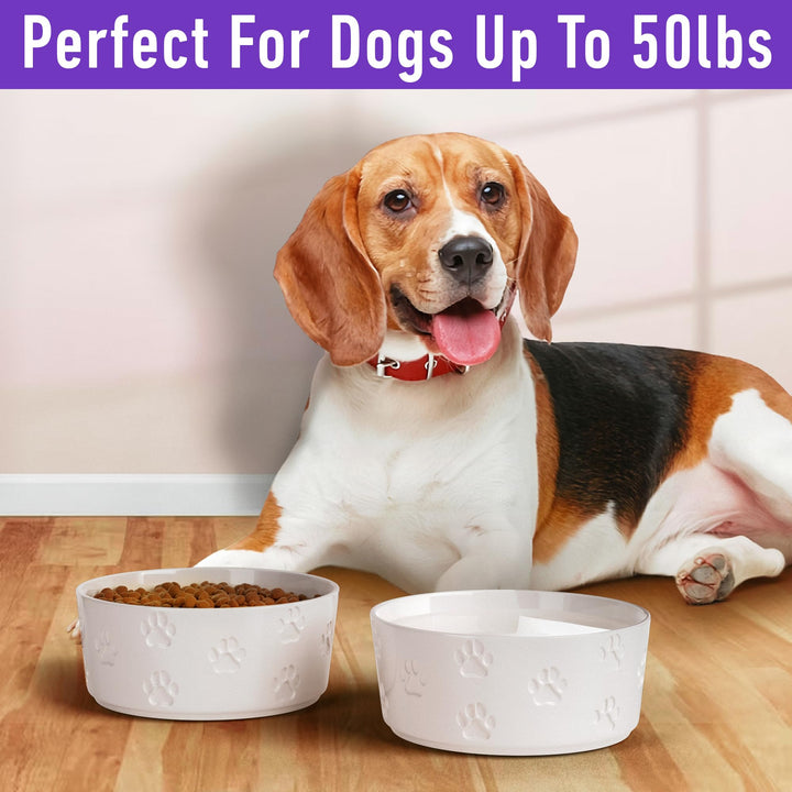 Ceramic Dog Bowl Set with Anti-Slip Rings - 6.5" Round x 2.5" Tall Set of 2 Ceramic Dog Bowls Medium Sized Dog