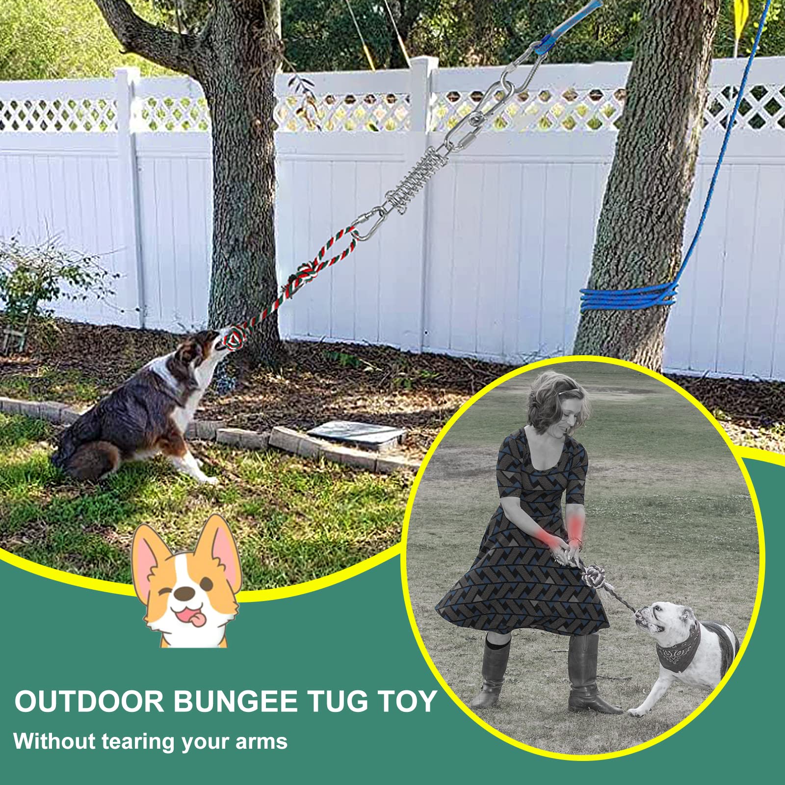 Dog Outdoor Bungee Solo Hanging Toy Tether Tug of War Dog Toys for Pi Learningbugs