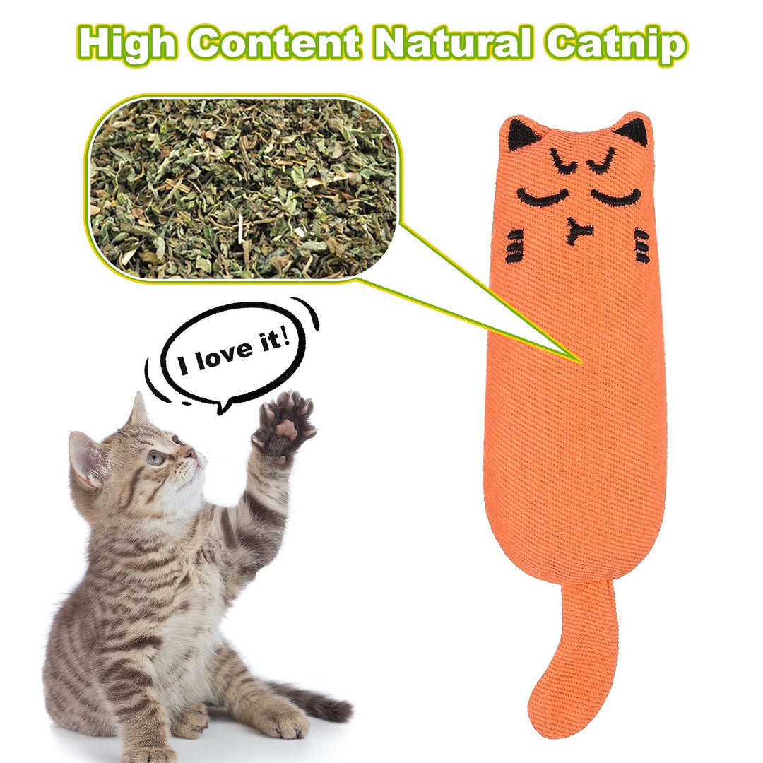 ADAKEL 5 Pieces Cat Catnip Toy Cat Chew Toy for Pet Cat Playing Chewing Teeth Cleaning