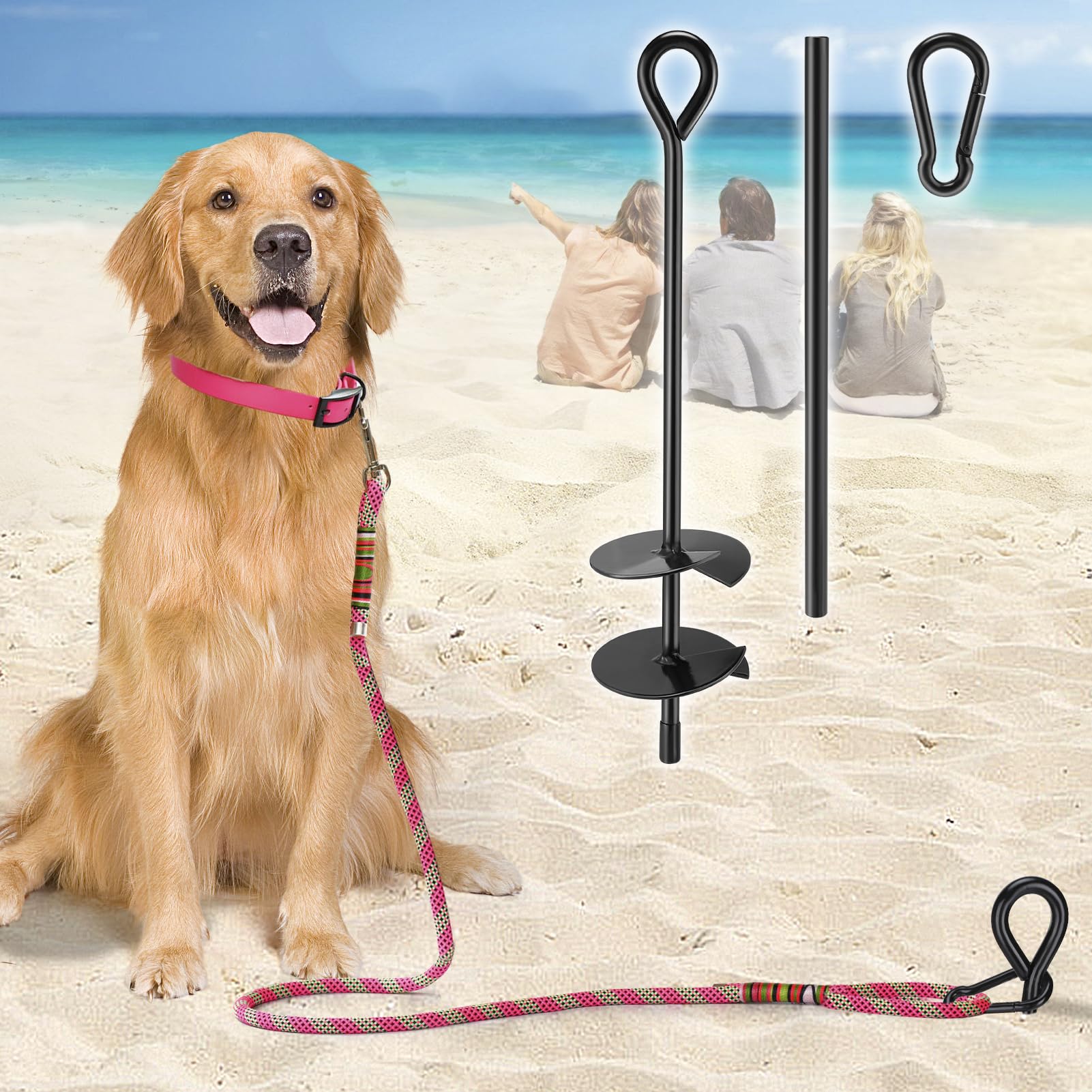 Best dog stake for sand best sale