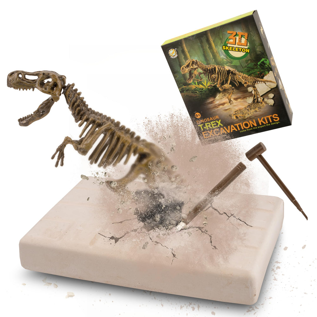 MUSCCCM Dinosaur Dig Kit Tyrannosaurus Rex, Dino Skeleton Fossil Excavation Kit Realistic Dinosaur Model Educational Toys Gift for Children Boys Girls Christmas/New Year's Gift