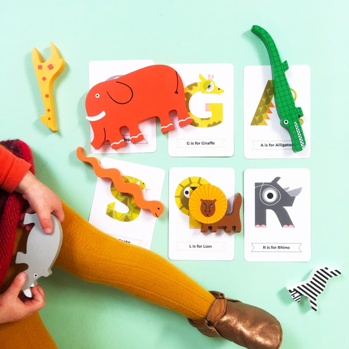 Animal Alphabet Flash Cards by The Jam Tart - Learning Bugs UK