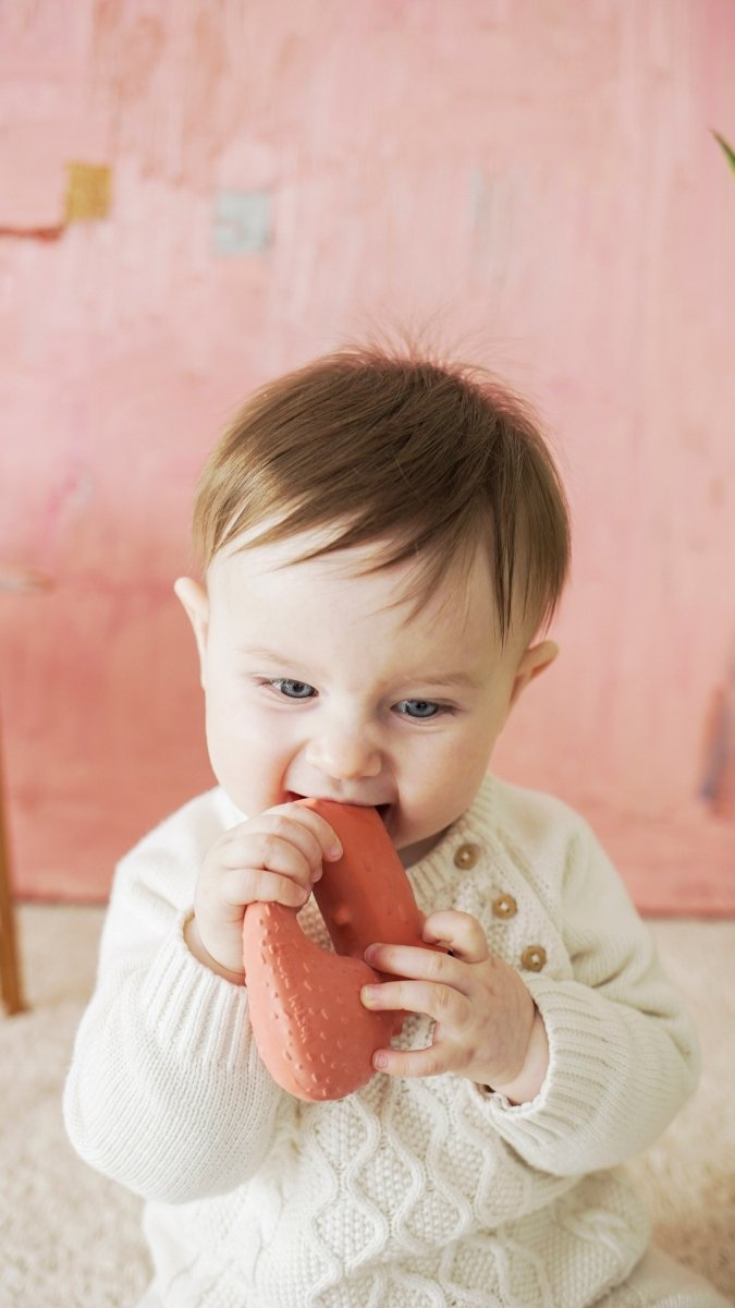 Oli & Carol x Donna Wilson Cyril Squirrel Fox Teether – Baby Teethers for children, available at Learning Bugs UK