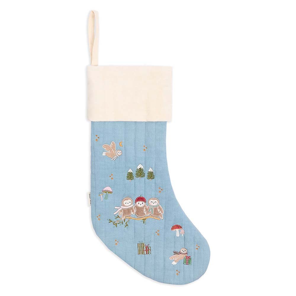 Buy Christmas Stocking - Owlet | Christmas for kids by Learning Bugs UK