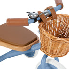 Buy Banwood Trike – Classic Toddler Tricycle (Blue) | TRIKE for kids by Learning Bugs UK