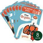 Yoto Card - BrainBots: The Human Body Collection