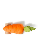 Oli & Carol Cathy the Carrot Car – Baby Sensory Toys for children, available at Learning Bugs UK
