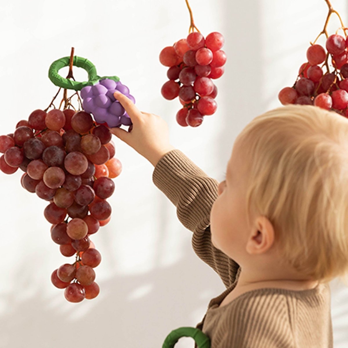 Oli & Carol Grape Baby Rattle & Teether – Baby Rattles for children, available at Learning Bugs UK