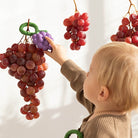 Oli & Carol Grape Baby Rattle & Teether – Baby Rattles for children, available at Learning Bugs UK