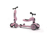Scoot & Ride Highwaykick 1 Scooter