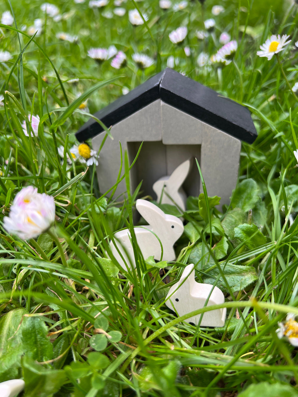 Tender Leaf Little Garden Designer