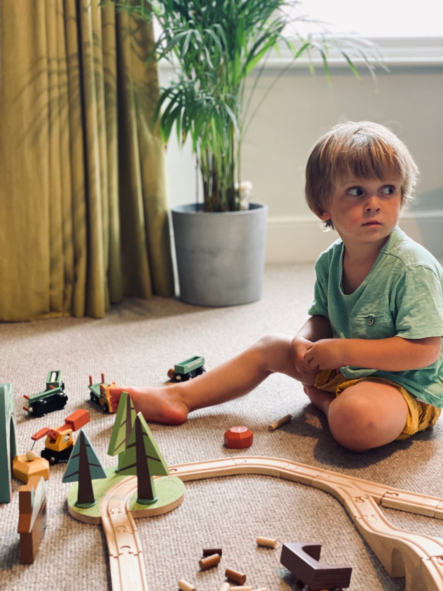Buy Wild Pines Train Set | Wooden train sets for kids by Learning Bugs UK