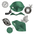 Oli & Carol Chlorophyll Leaf Teether – Baby Teethers for children, available at Learning Bugs UK