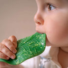 Oli & Carol Chlorophyll Leaf Teether – Baby Teethers for children, available at Learning Bugs UK