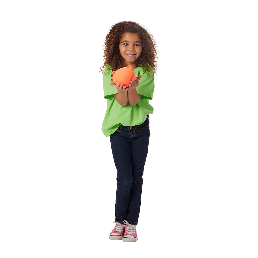 Cool Cats Super Needoh