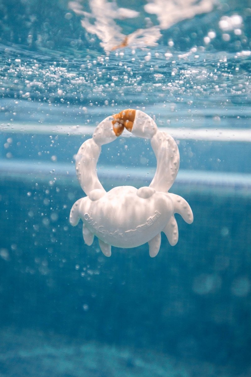 Oli & Carol x BIGSTUFFED Sharon the Crab Bath Toy – Bath Toys for children, available at Learning Bugs UK