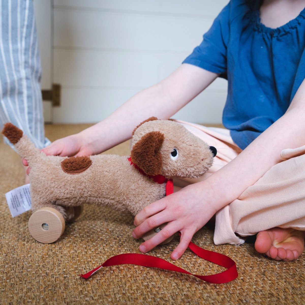 Dudley Pull Along Dog – Pull-along soft toy for children, available at Learning Bugs UK