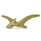 Tender Leaf Dinosaurs - Pterodactyl – for children, available at Learning Bugs UK