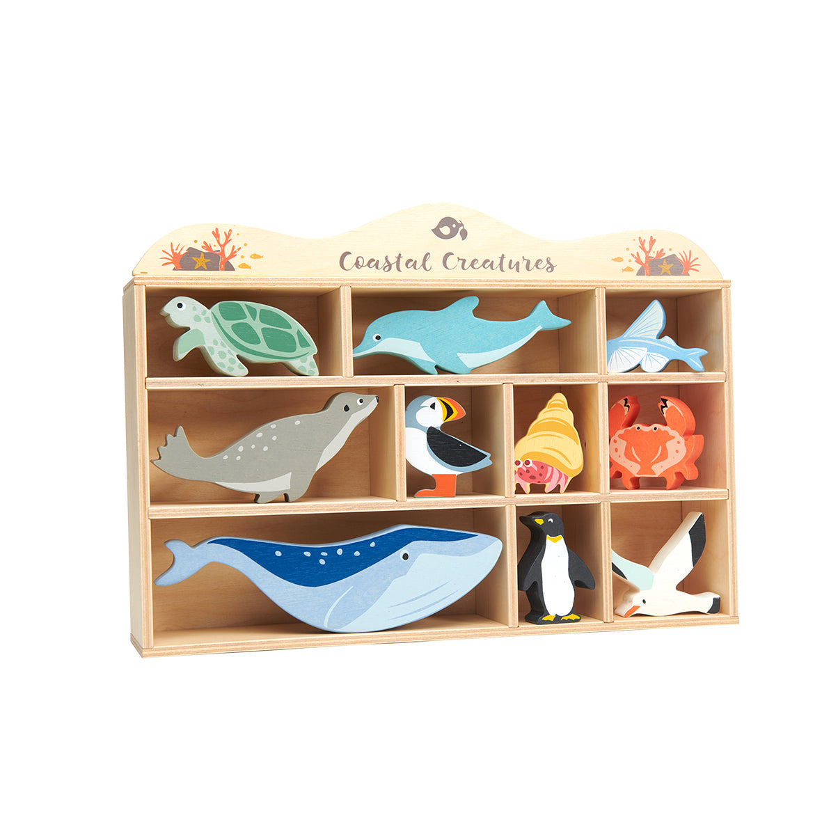 10 Coastal Creatures Shelf Set