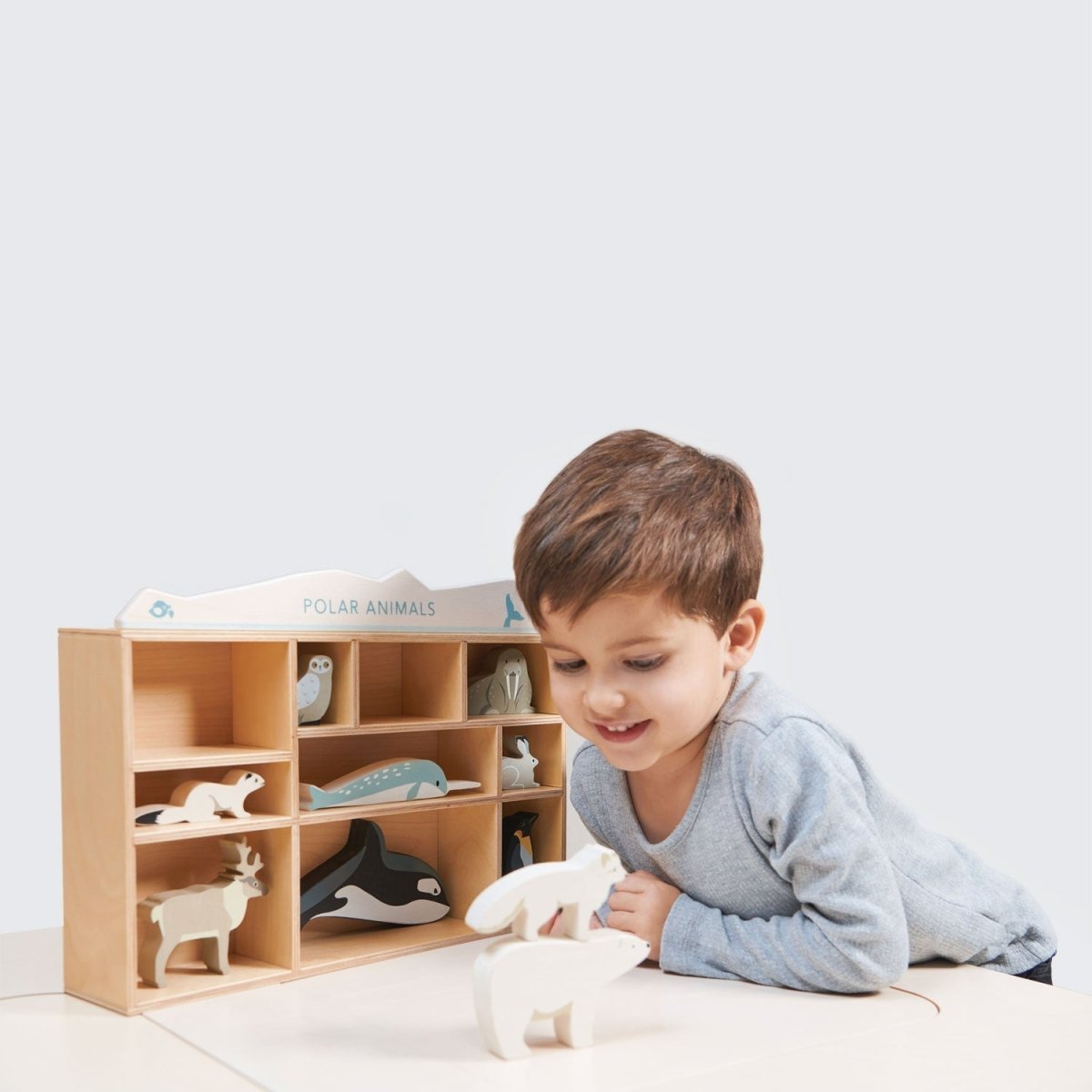 Polar Animals Shelf Set – Wooden animals shelf for children, available at Learning Bugs UK