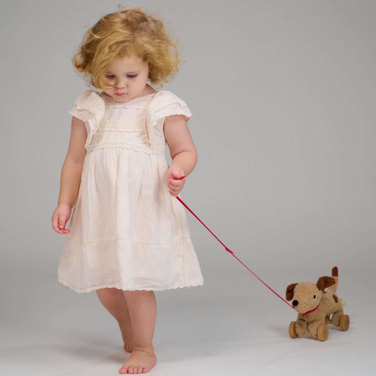 Dudley Pull Along Dog – Pull-along soft toy for children, available at Learning Bugs UK