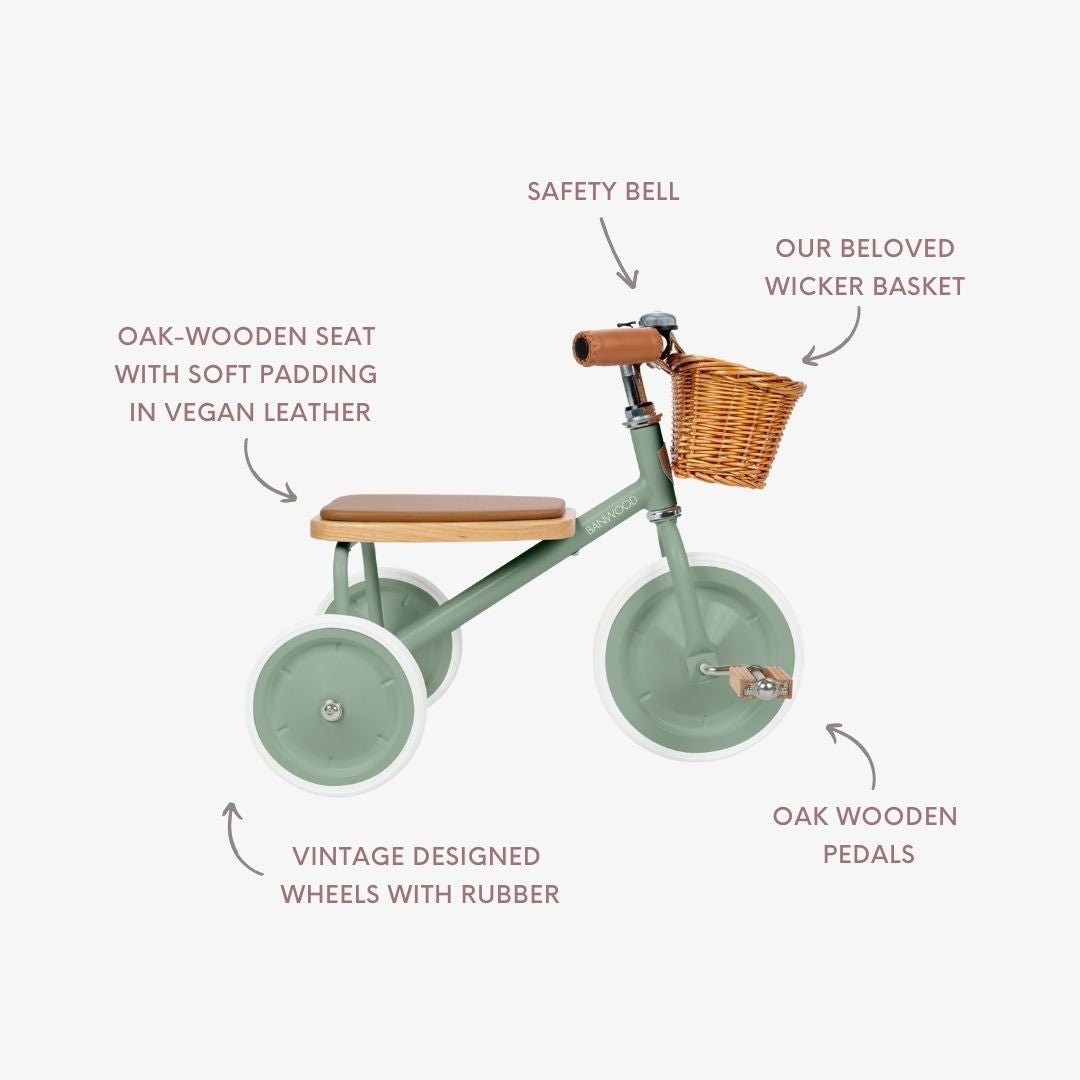 Buy Banwood Trike – Classic Toddler Tricycle (Forest) | TRIKE for kids by Learning Bugs UK
