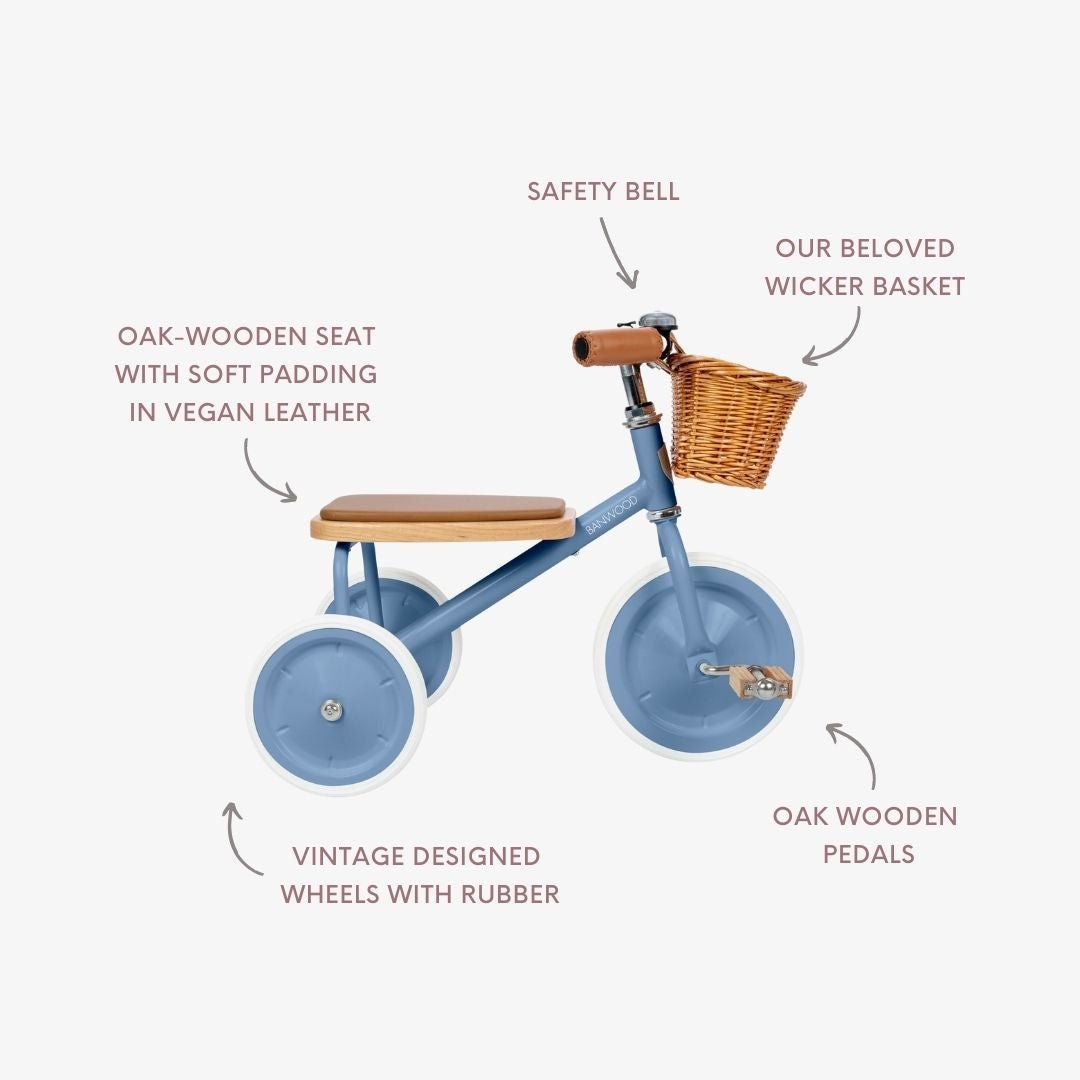 Buy Banwood Trike – Classic Toddler Tricycle (Blue) | TRIKE for kids by Learning Bugs UK