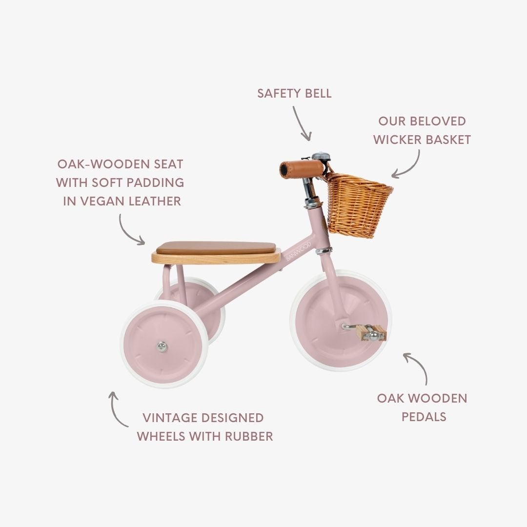 Buy Banwood Trike – Classic Toddler Tricycle (Dusty Pink) | TRIKE for kids by Learning Bugs UK