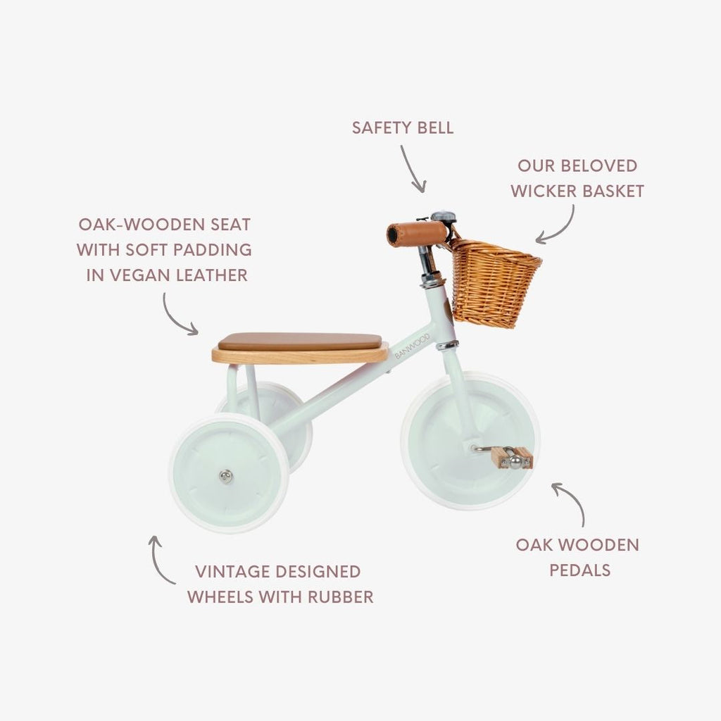 Banwood Trike – Classic Toddler Tricycle (Pale Mint)