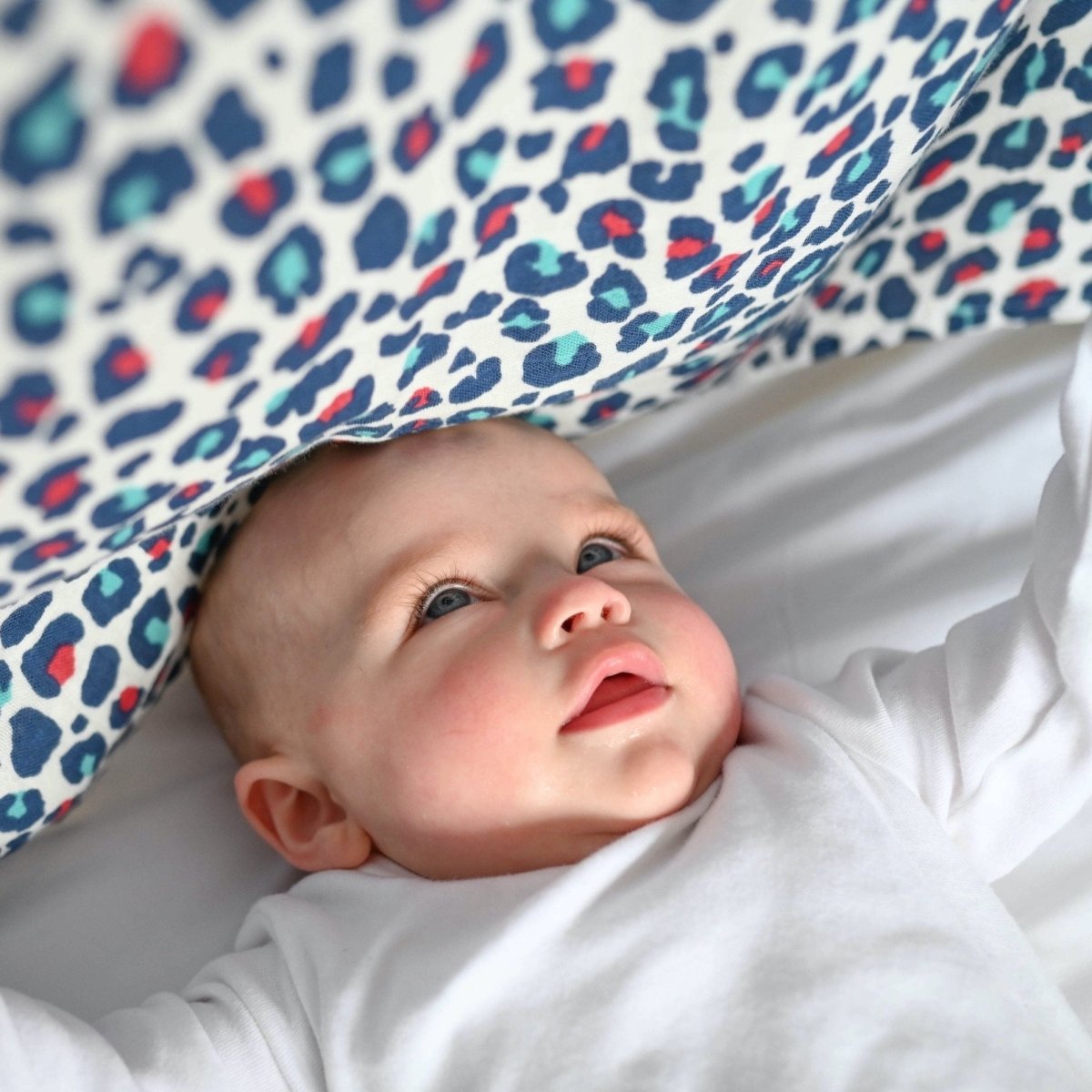 Animal Print Muslin 2 Pack – Muslin squares for children, available at Learning Bugs UK