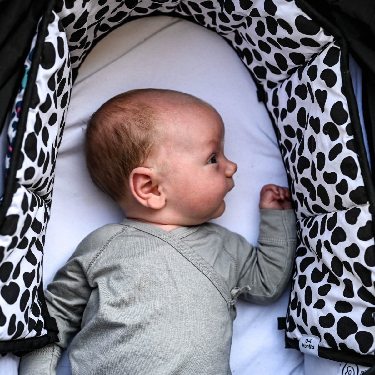 Animal Print Sensory Strip - reversible – Sensory Strip for children, available at Learning Bugs UK