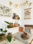 Buy Autumns Corner - the A.C Editions Shelf | Bookshelf for kids by Learning Bugs UK