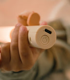 The Zoofamily - Zoo Light Fox