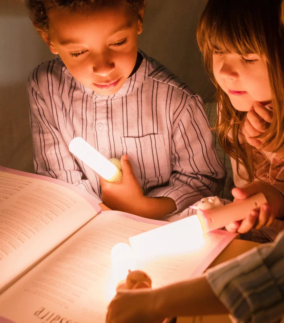 Buy The Zoofamily - Zoo Light Fox | for kids by Learning Bugs UK