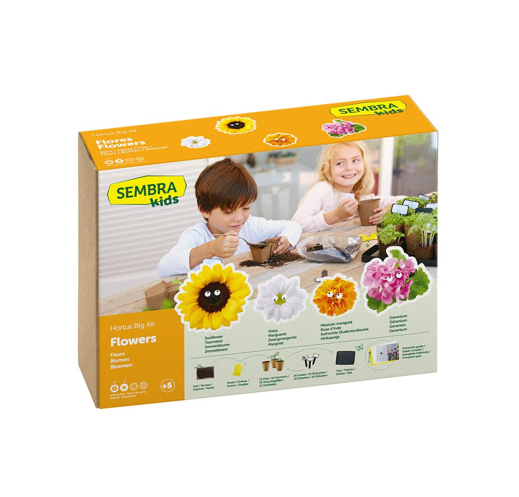 Buy SEMBRA Big Summer Flower Kit | for kids by Learning Bugs UK